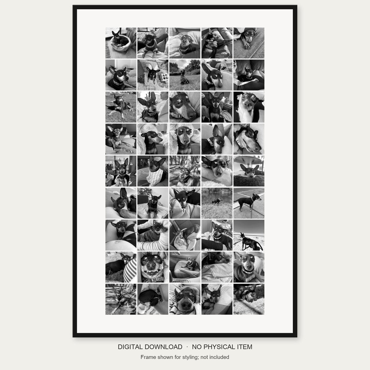 Personalised Pet 45-photo collage complete product view